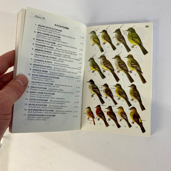 Vintage Peterson Field Guides Mexican Birds Book Copyright 1973 - Picture 4 of 6